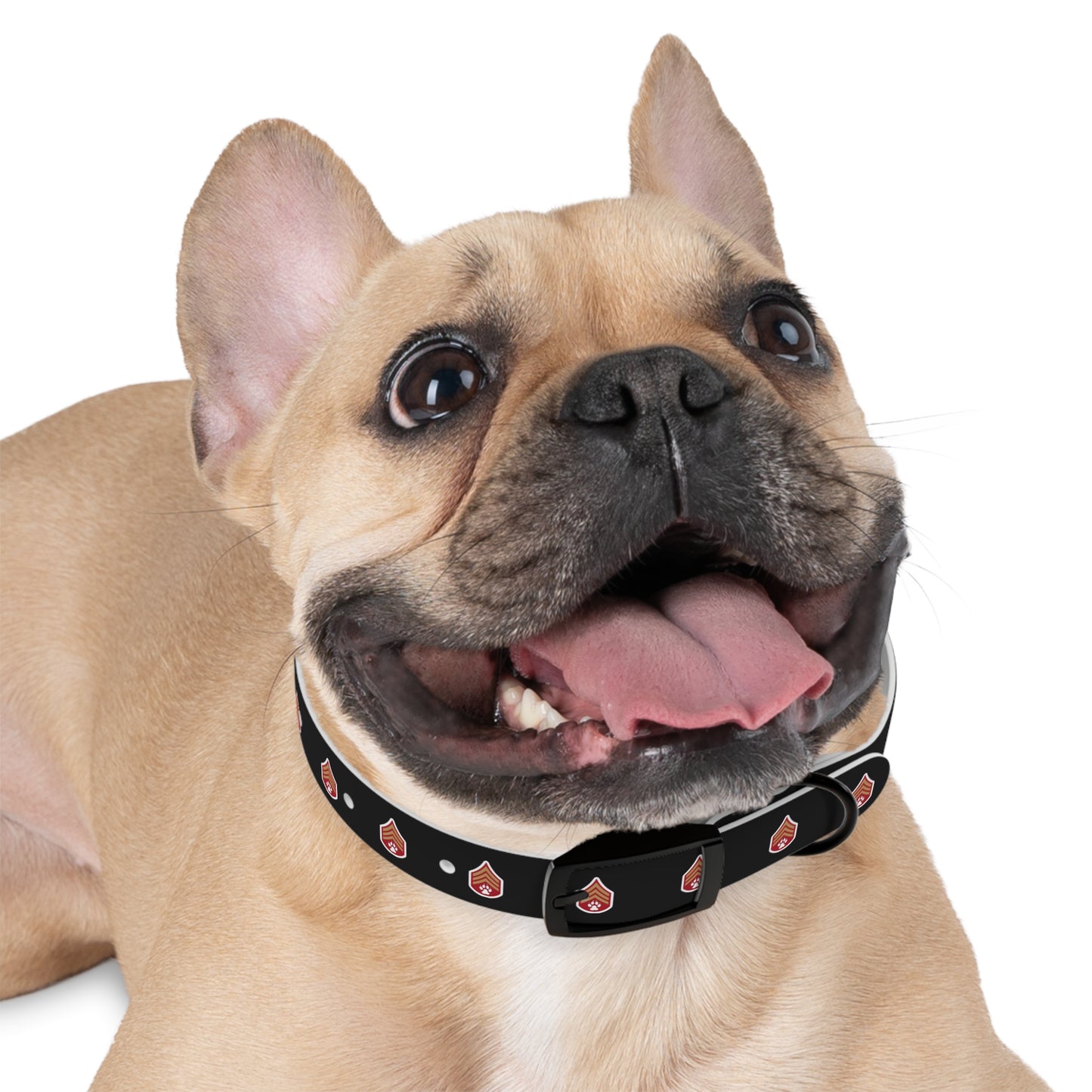 Dog Army Dog Collar