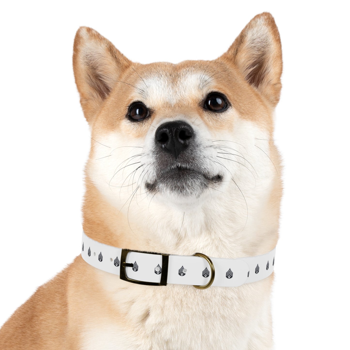 Dog Army Dog Collar