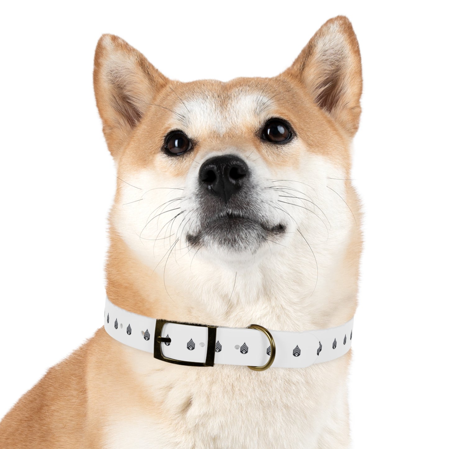 Dog Army Dog Collar