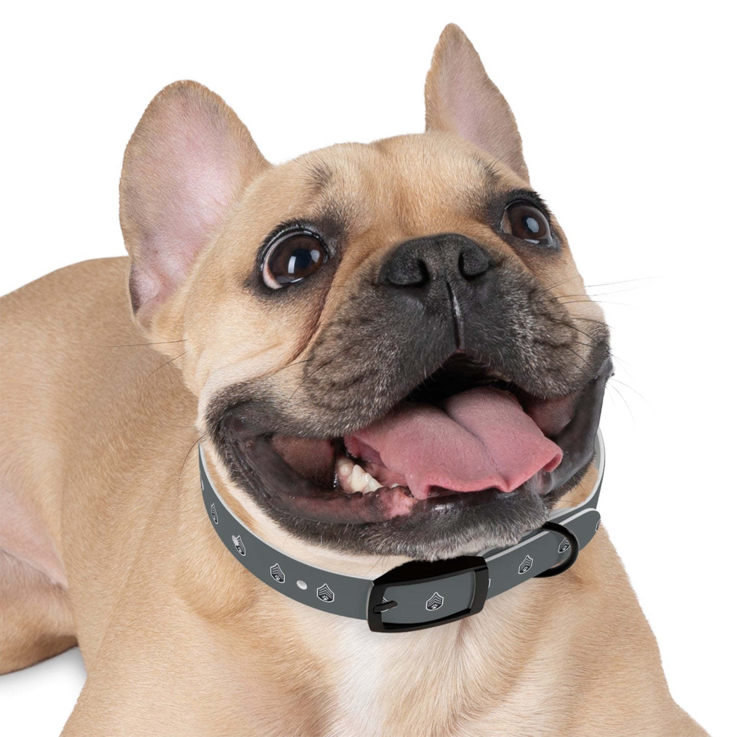 Dog Army Dog Collar