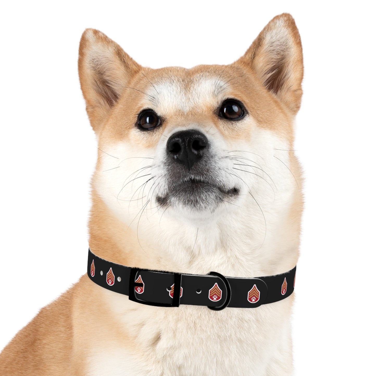 Dog Army Dog Collar