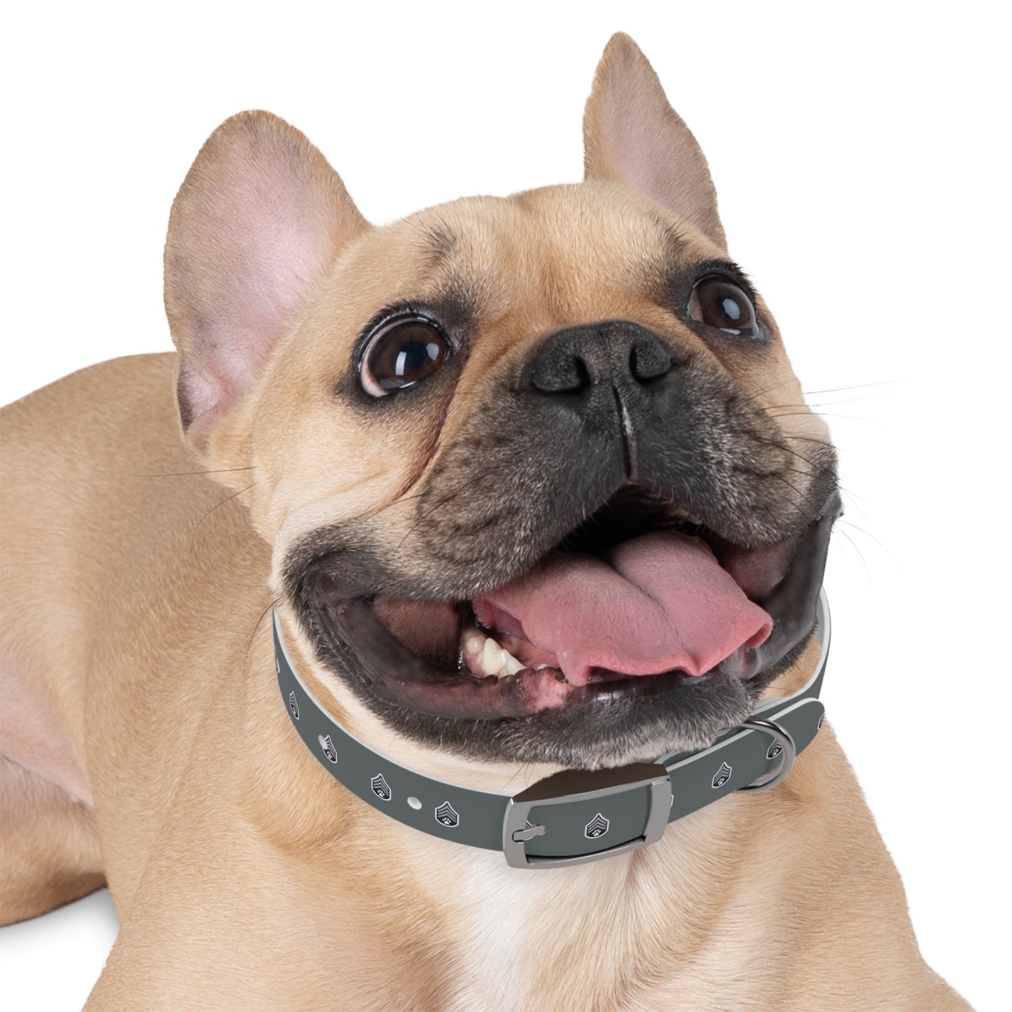 Dog Army Dog Collar