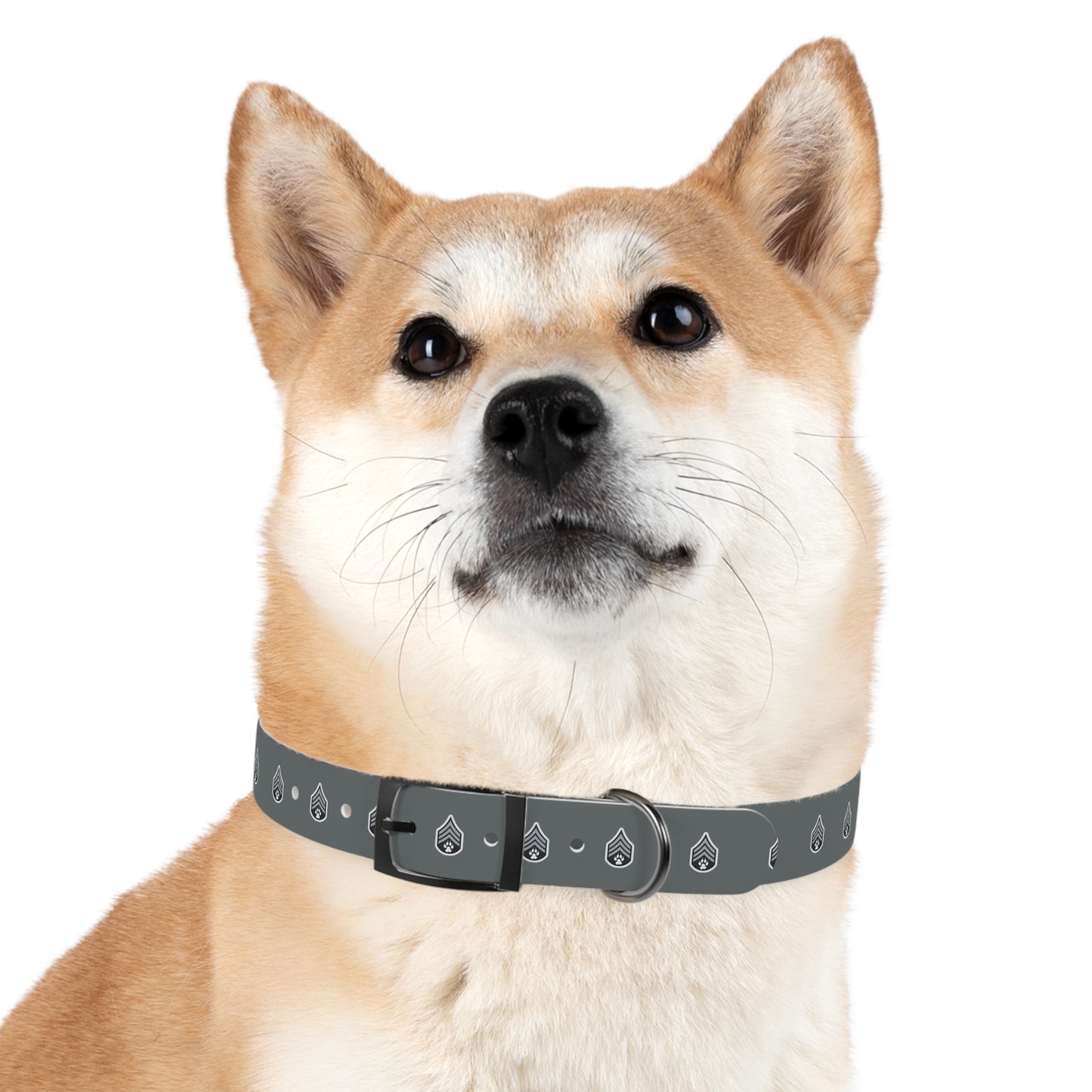 Dog Army Dog Collar