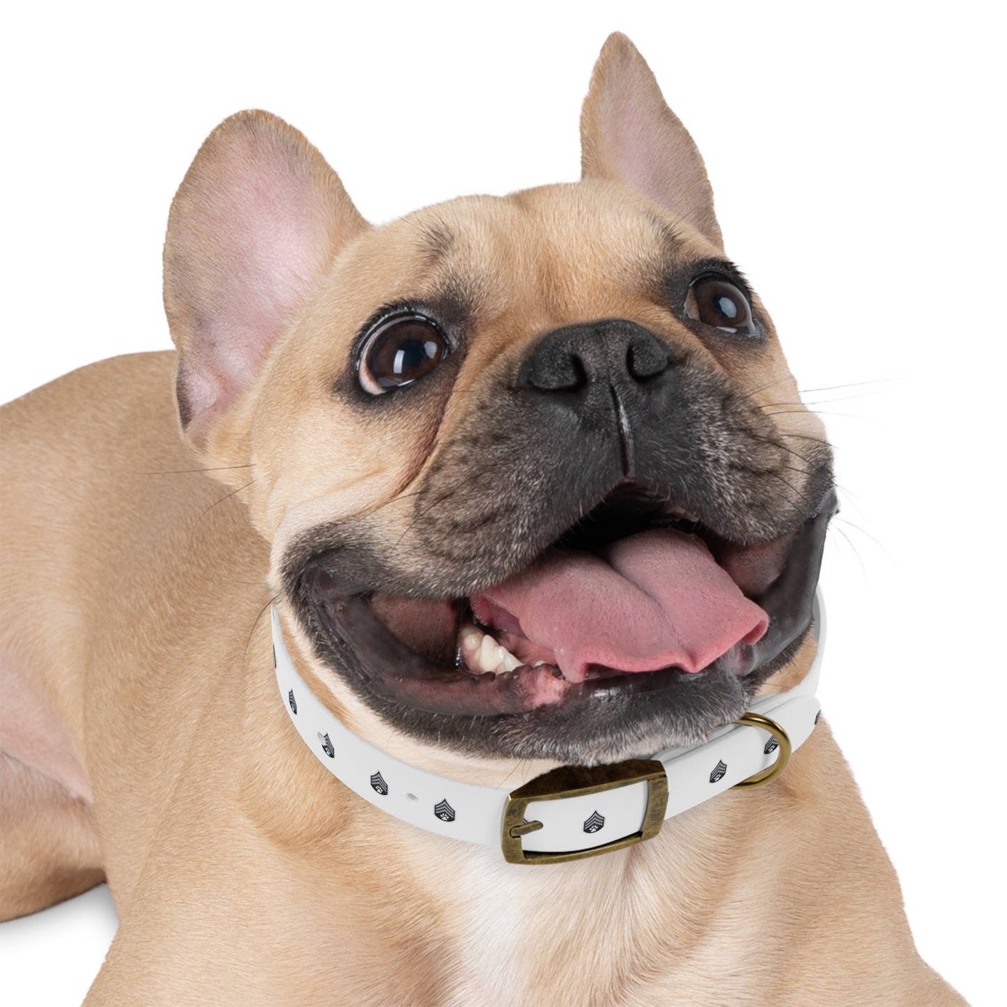 Dog Army Dog Collar