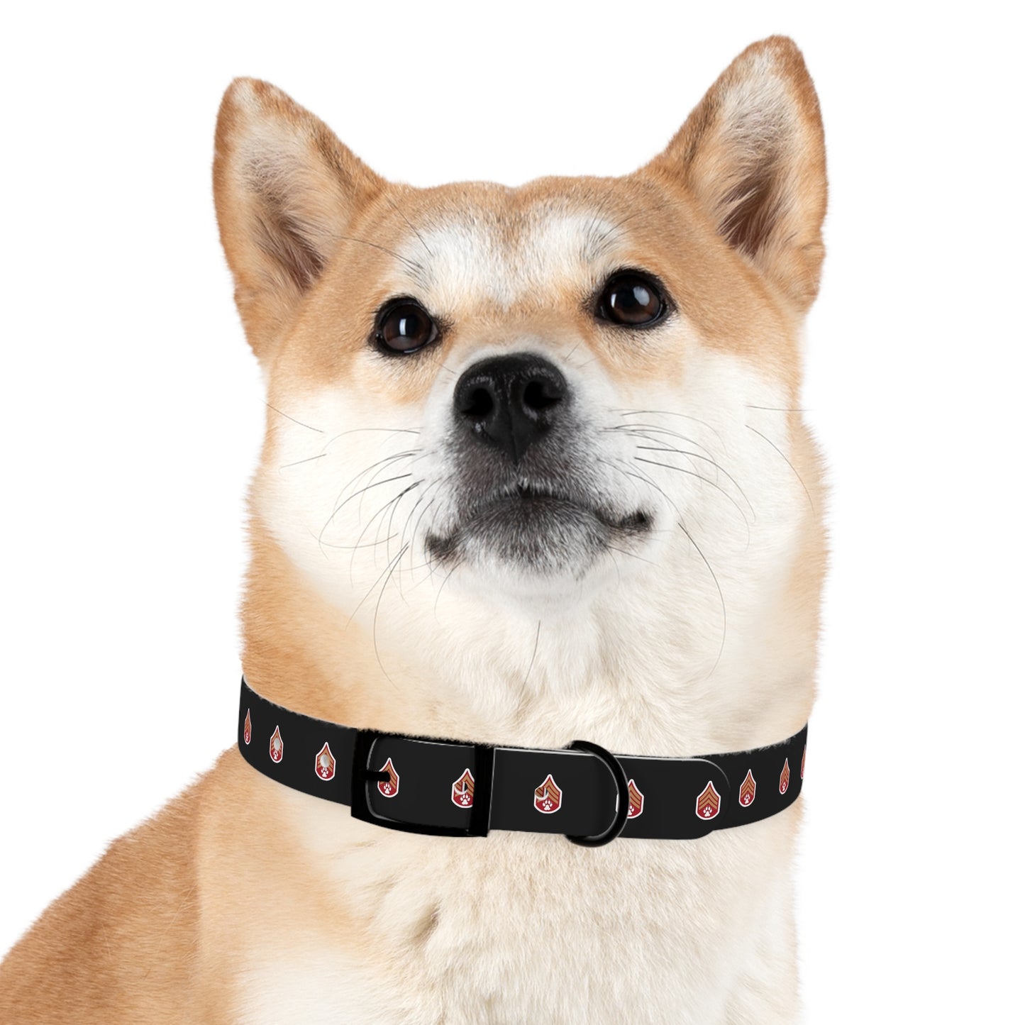 Dog Army Dog Collar