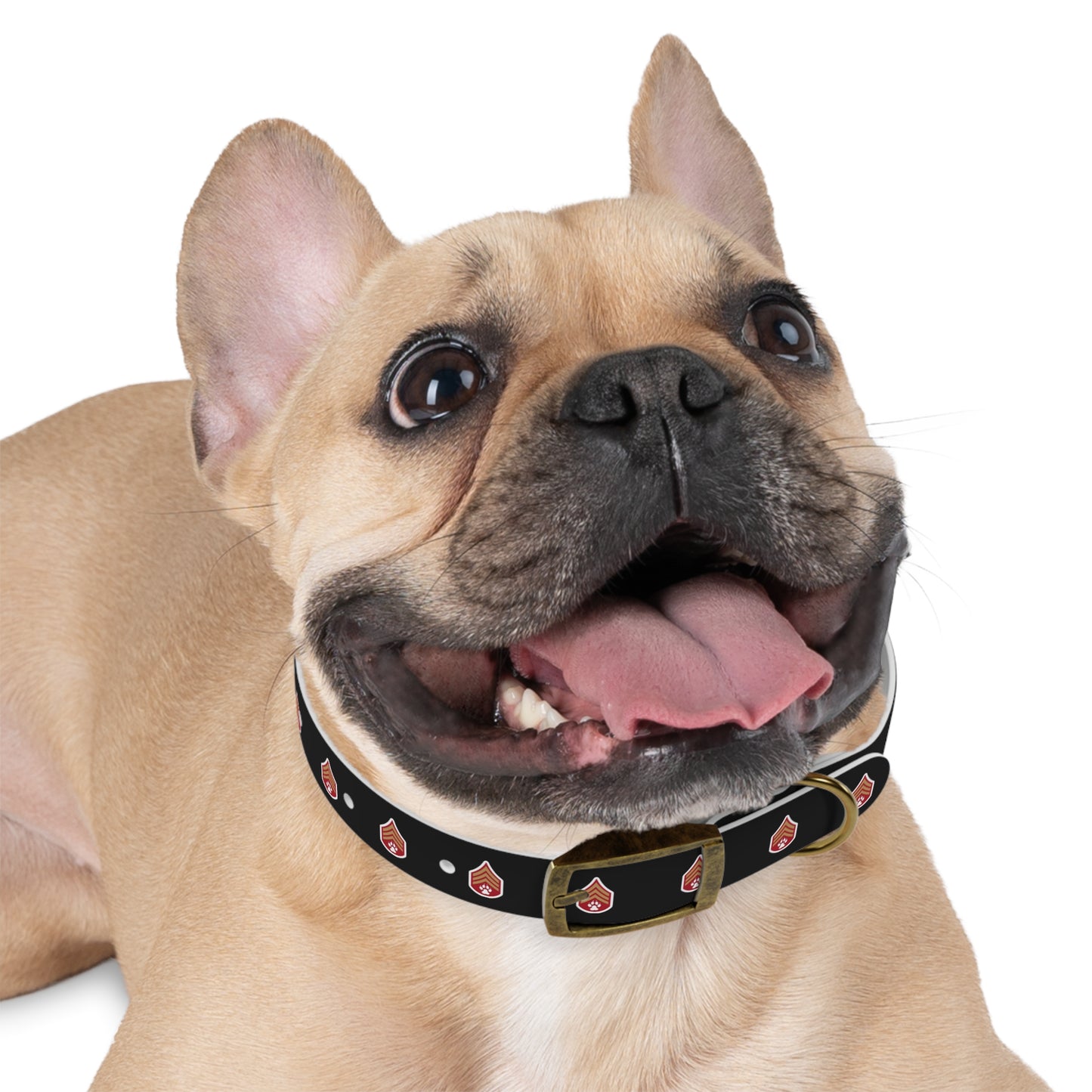 Dog Army Dog Collar