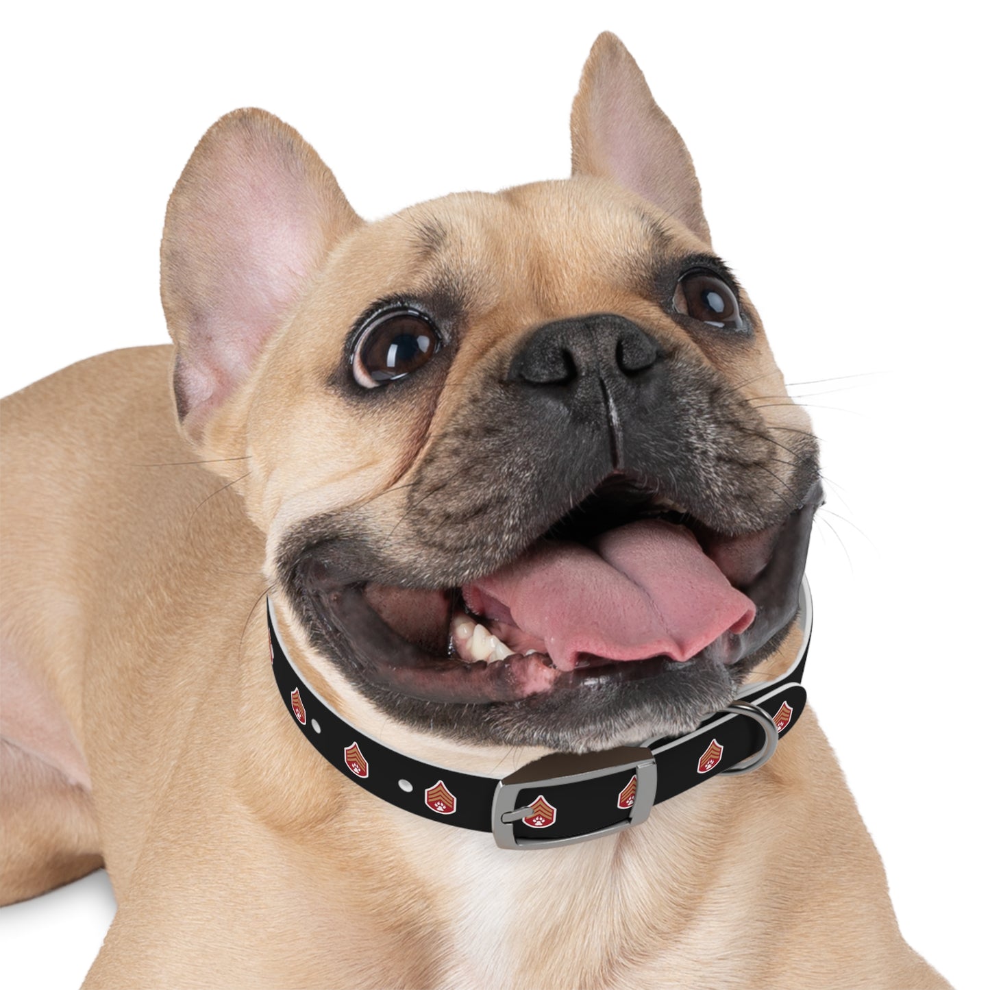 Dog Army Dog Collar