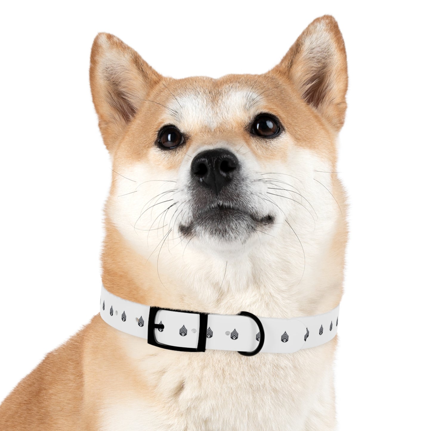 Dog Army Dog Collar