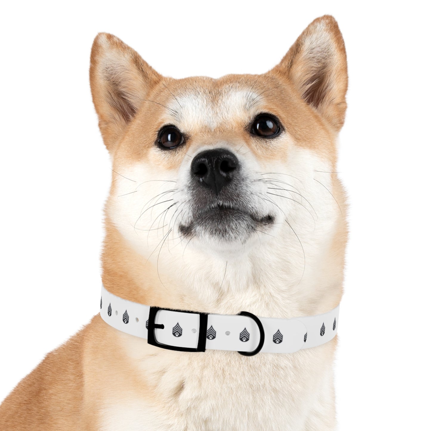 Dog Army Dog Collar